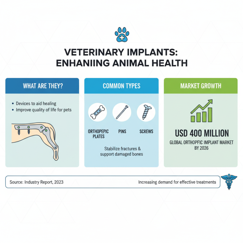 Top 10 Best Veterinary Implants to Enhance Pet Health and Recovery?