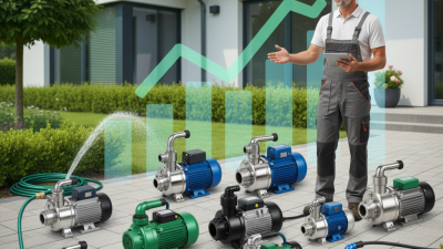 Top 10 Electric Water Pumps You Need for Your Home?