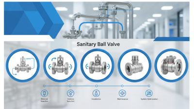 The 5 Best Sanitary Ball Valves for Optimal Performance in Your System?