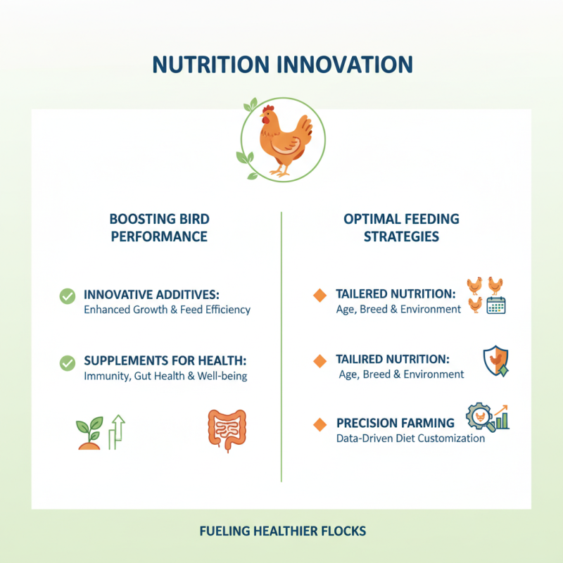 2026 Best Poultry Nutrition Strategies for Optimal Growth and Health?