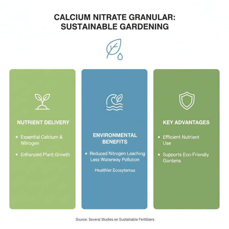 2026 Top Uses of Calcium Nitrate Granular for Agriculture and Gardening?