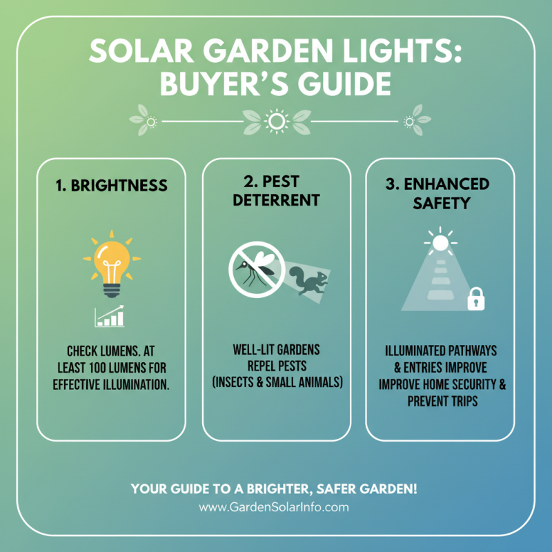 How to Choose the Best Outdoor Solar Lights for Your Home Garden?