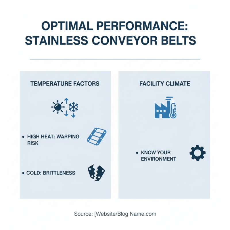 How to Choose the Best Stainless Conveyor Belt for Your Needs?