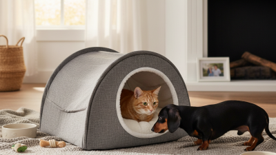How to Choose the Best Pet Bed Tent Tunnel for Your Furry Friend?