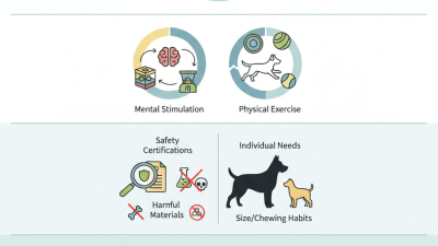 How to Choose Good Quality Dog Toys for Your Pet?