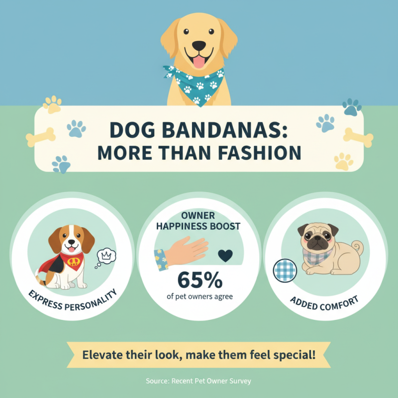 Why Should You Use Dog Bandanas for Your Pet?