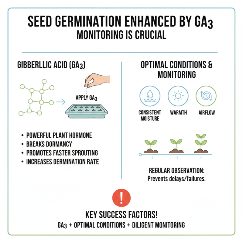 2026 How to Use Gibberellic Acid for Seed Germination?