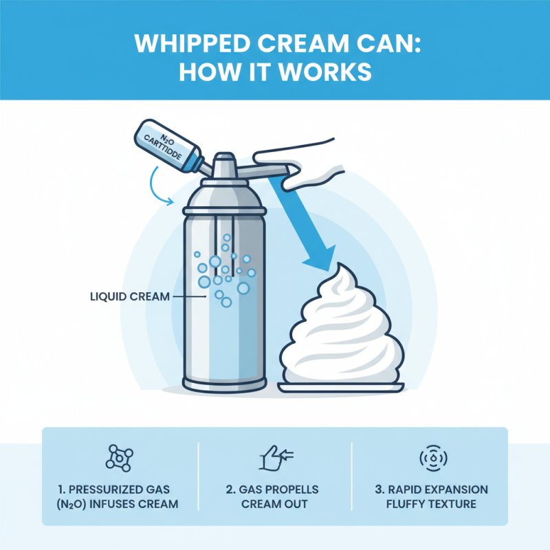 What is a Whipped Cream Can and How Does It Work?