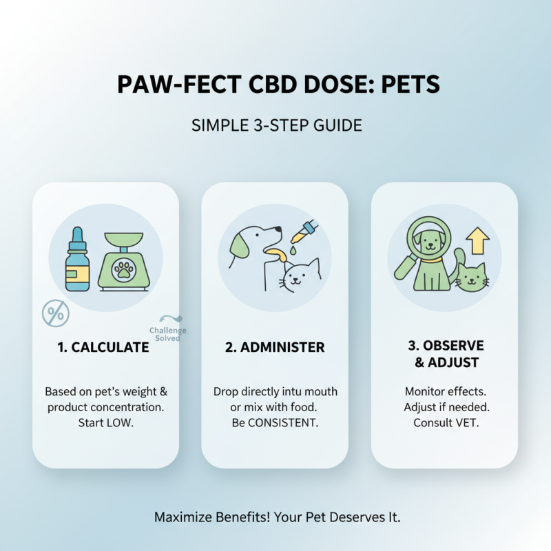 Top Pet Relief CBD Oil Benefits and How to Use It?