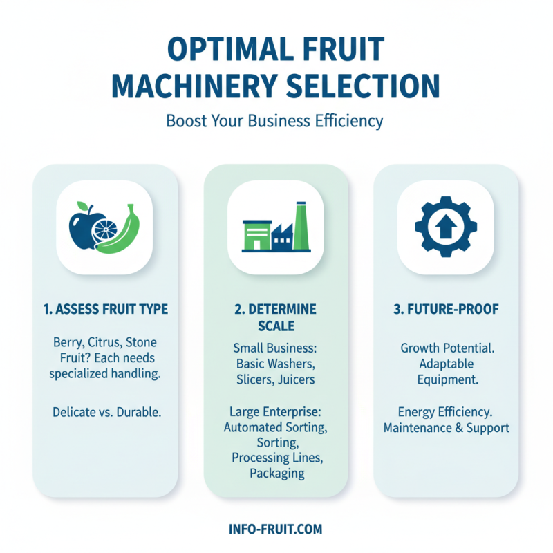 How to Choose the Right Fruit Machinery for Your Business Needs?