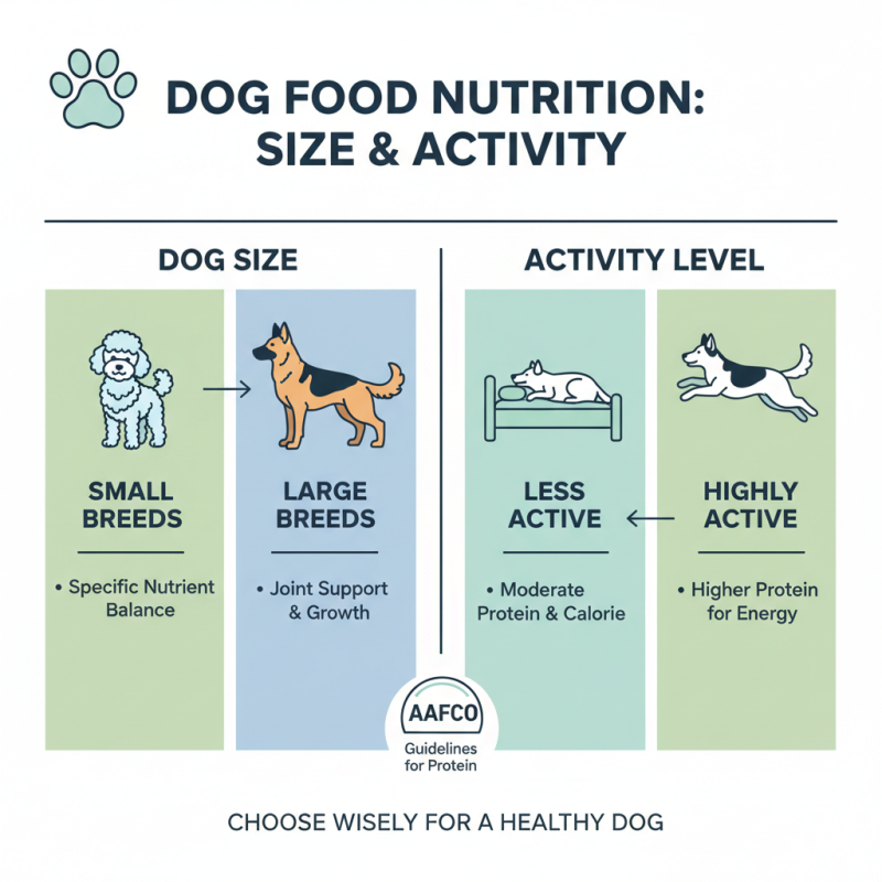 How to Choose the Best Nutrish Beef Dog Food for Your Pet?