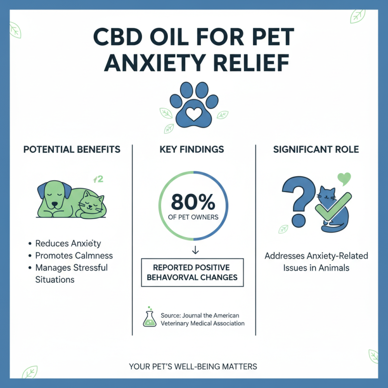 Top Pet Relief CBD Oil Benefits and How to Use It?