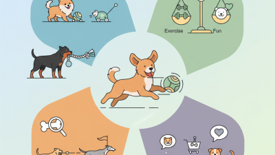 How to Choose the Best Moving Dog Toys for Your Pet's Fun and Exercise?