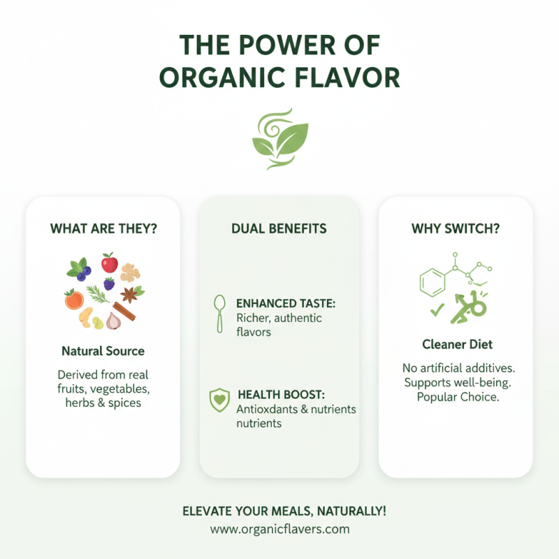 2026 Top Trends in Organic Food Flavoring What Should You Know