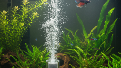 Top 10 Benefits of Micro Bubble Air Diffuser for Aquariums?