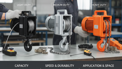 How to Choose the Right Micro Electric Hoist for Your Needs?