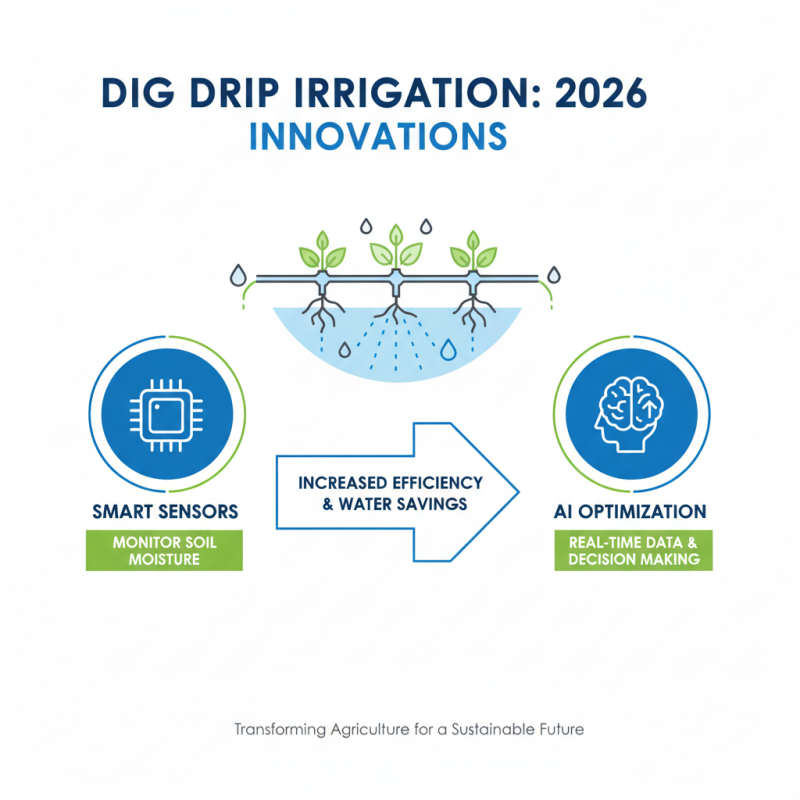 2026 Top Trends in Dig Drip Irrigation Techniques?