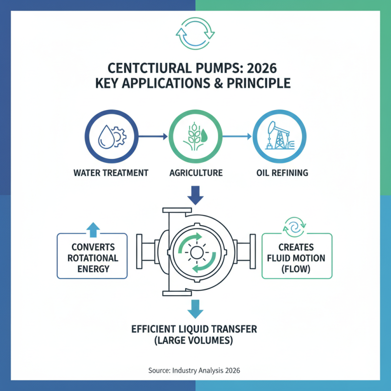 Best Centrifugal Pumps in 2026 What You Need to Know?