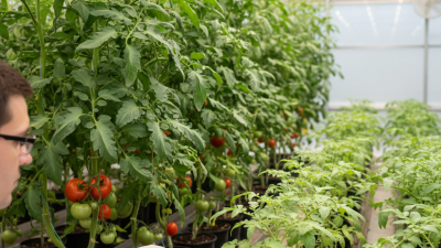 Gibberellic Acid Tips for Boosting Plant Growth Effectively?