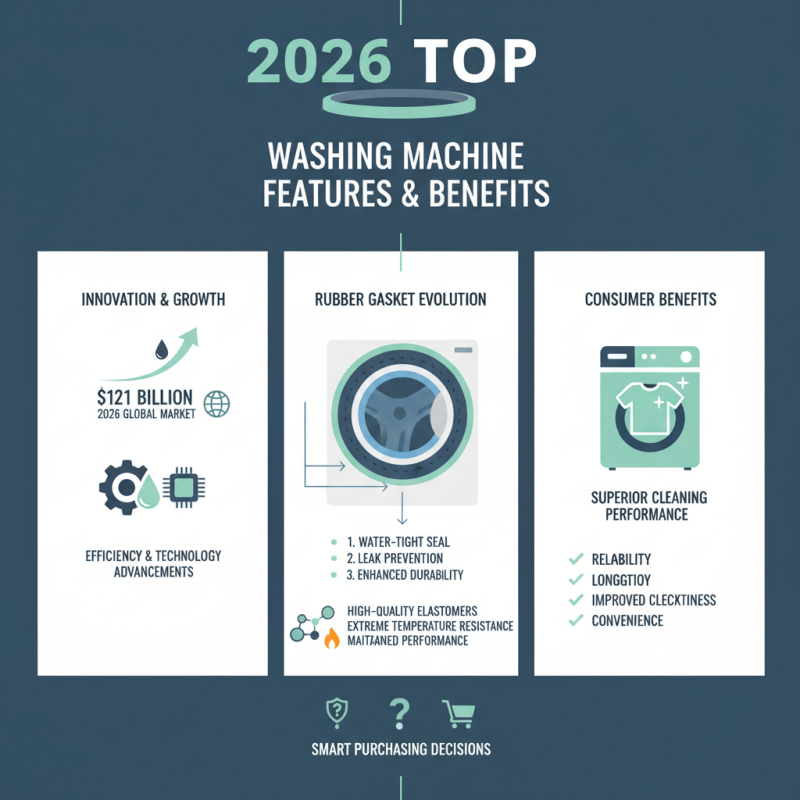 2026 Top Rubber Gasket Washing Machine Features and Benefits？