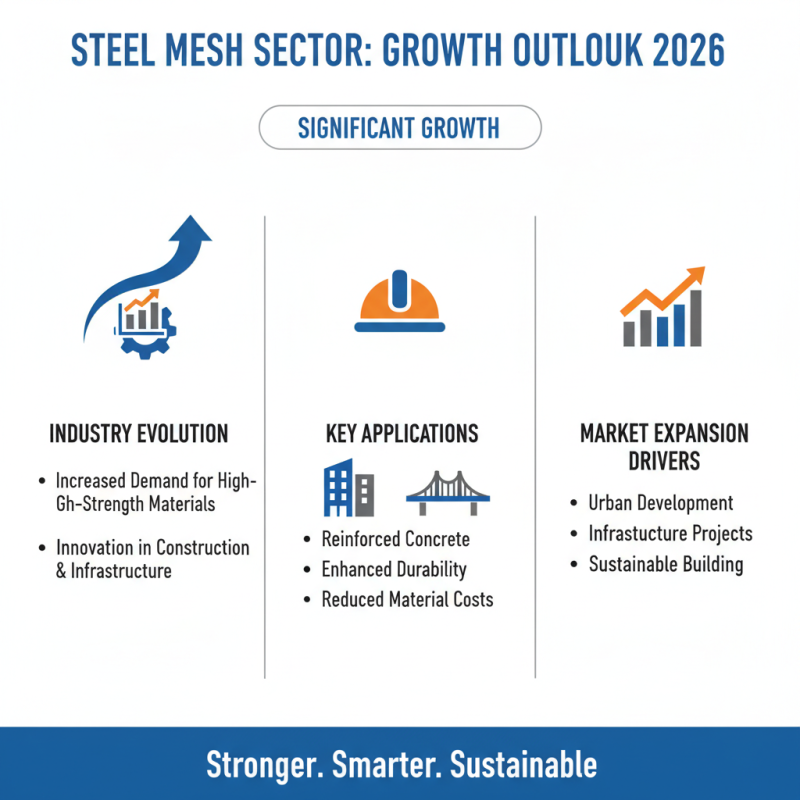 2026 Top Trends in Steel Mesh Applications and Innovations?