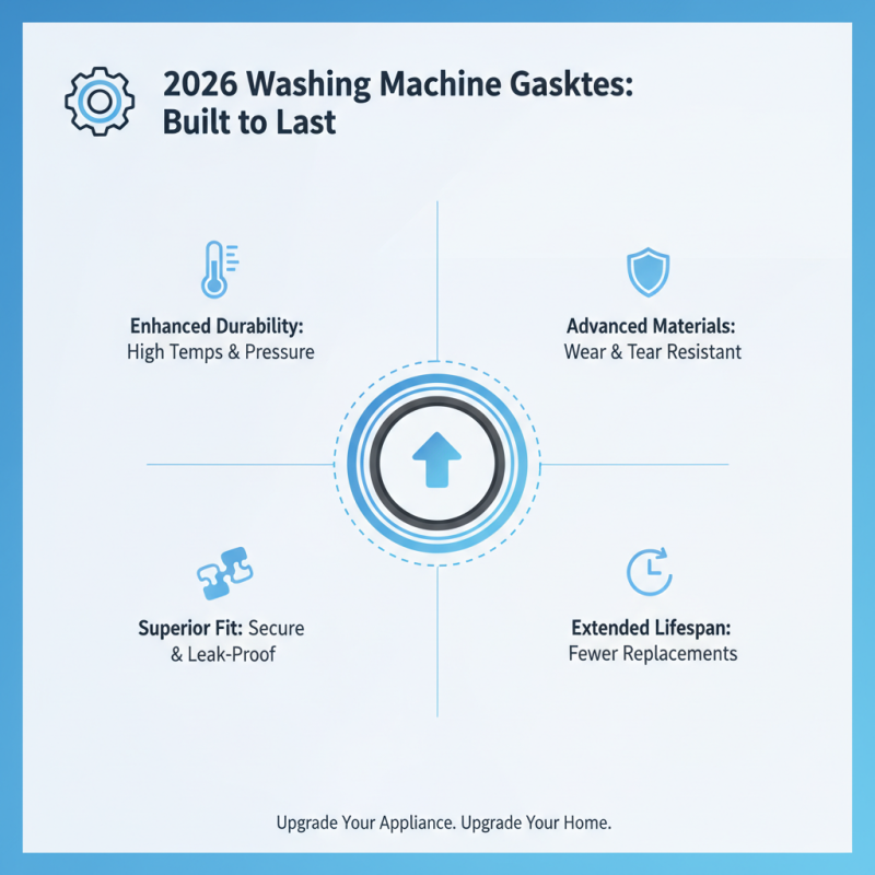 2026 Top Rubber Gasket Washing Machine Features and Benefits？