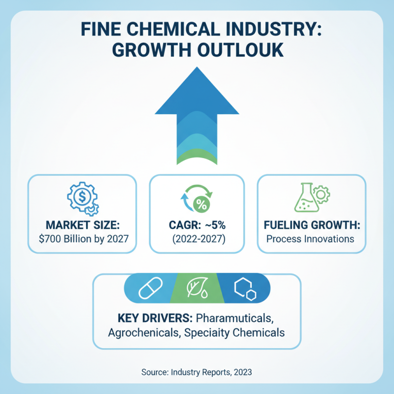 What is the Future of the Fine Chemical Industry?