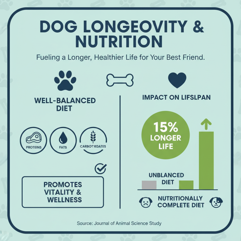 Why Is Dog Nutrition Essential for Your Pet's Health and Wellbeing?