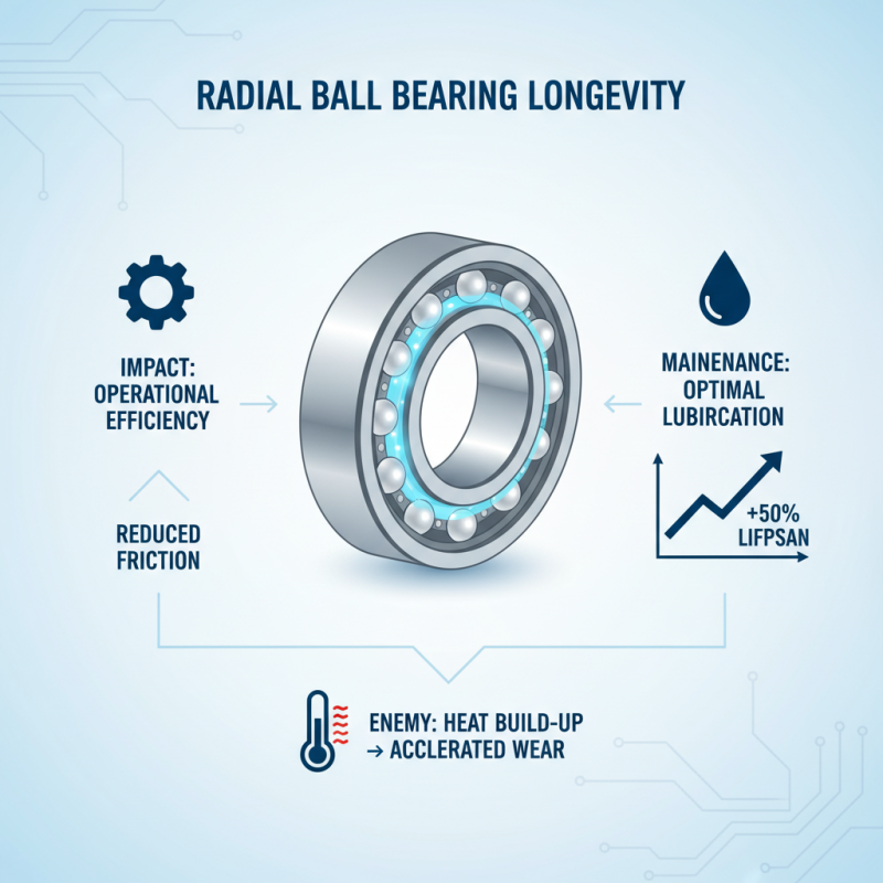 2026 Best Radial Ball Bearings for Optimal Performance and Durability?