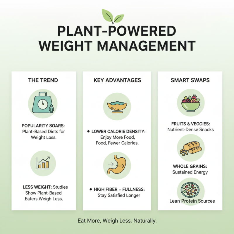 Why Choose Plant Based Snacks for a Healthier Lifestyle?