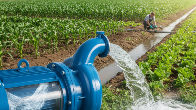 Why Choose a Flushing Water Pump for Your Water Supply Needs?