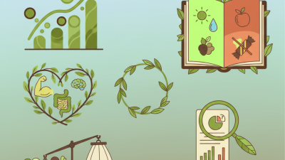 Why Choose Plant Based Snacks for a Healthier Lifestyle?