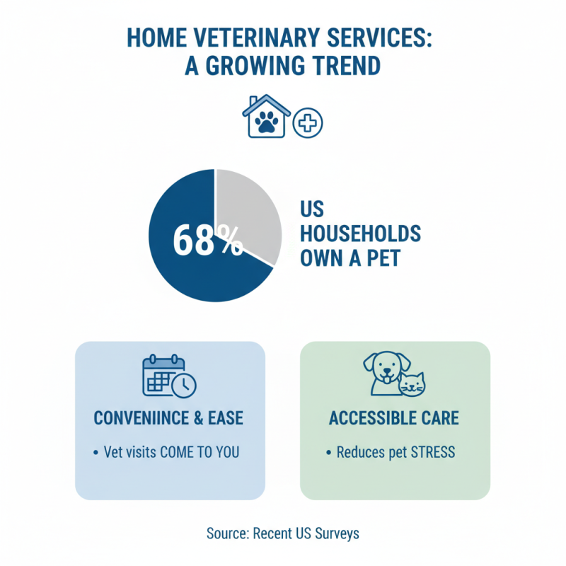 Top Home Vet Services for Your Pet Care Needs?