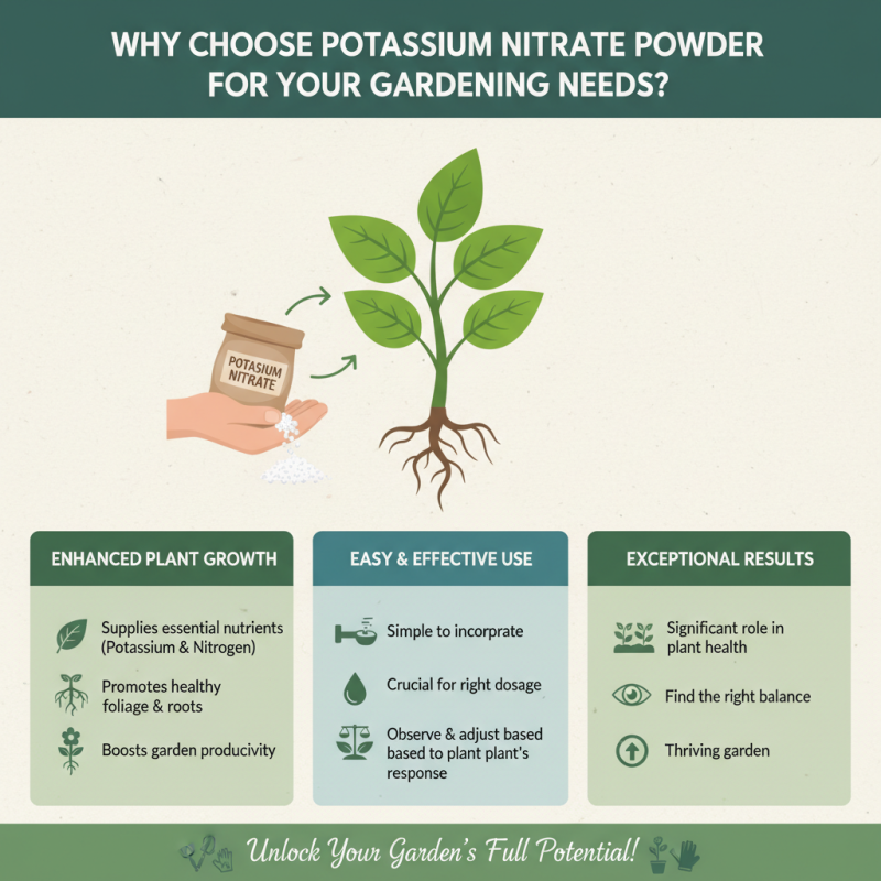 Why Choose Potassium Nitrate Powder for Your Gardening Needs?