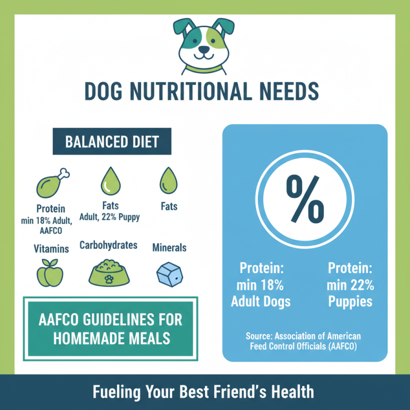 How to Make Homemade Dog Food Recipe for Healthy Dogs?