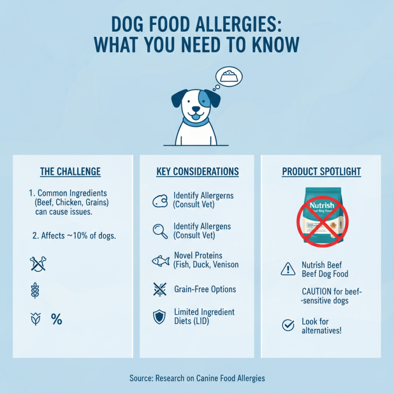 Top 5 Tips for Choosing Nutrish Beef Dog Food