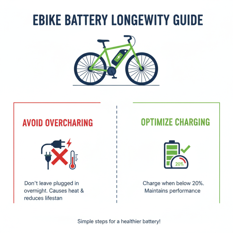 10 Essential Tips for Maintaining Your Hailong Ebike Battery?