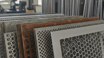 Ultimate Tips for Choosing Perforated Mesh Sheet What to Know?