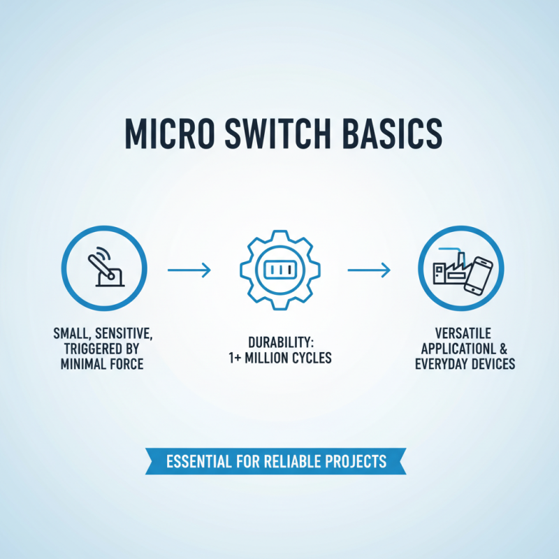 How to Use a Micro Switch On Off for Your Projects?