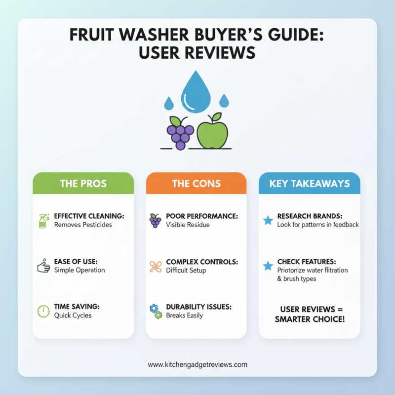 How to Choose the Best Fruit Washer for Your Kitchen Needs?