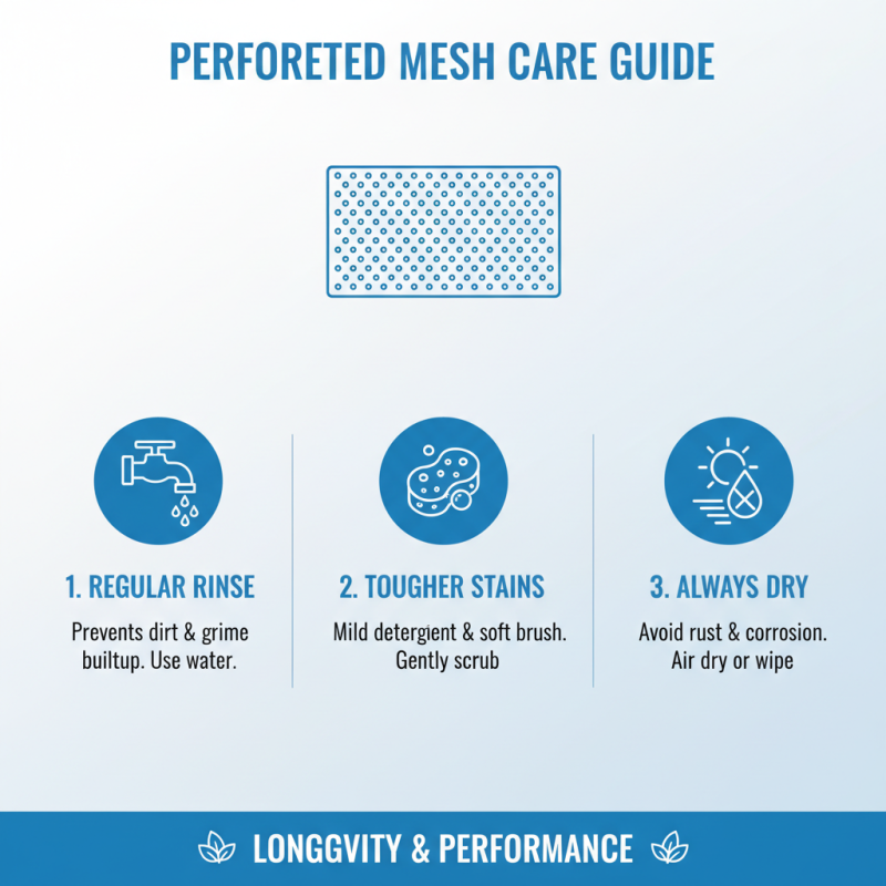 Ultimate Tips for Choosing Perforated Mesh Sheet What to Know?