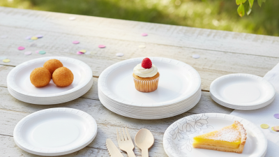 How to Choose the Best Small White Paper Plates for Any Event?