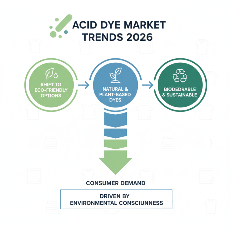 Best Acid Dyes for 2026 What You Need to Know