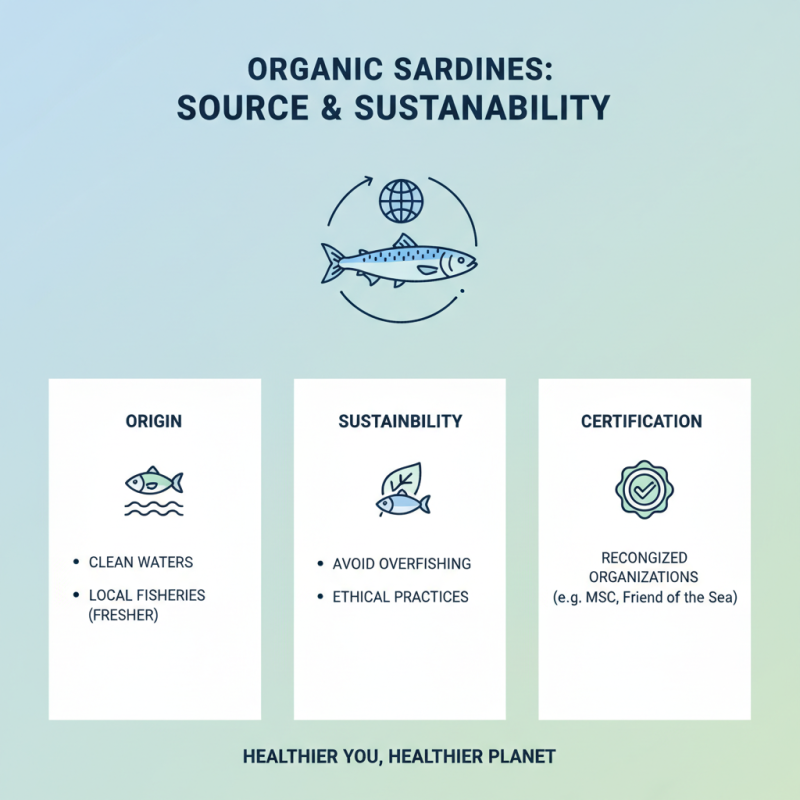 How to Choose Organic Sardines for Healthy Eating?