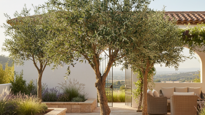 Best Artificial Olive Tree Large Options for Your Home Garden?