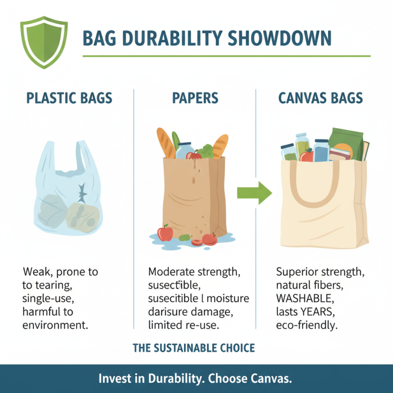 2026 Top Benefits of Reusable Canvas Bags for Sustainable Living?