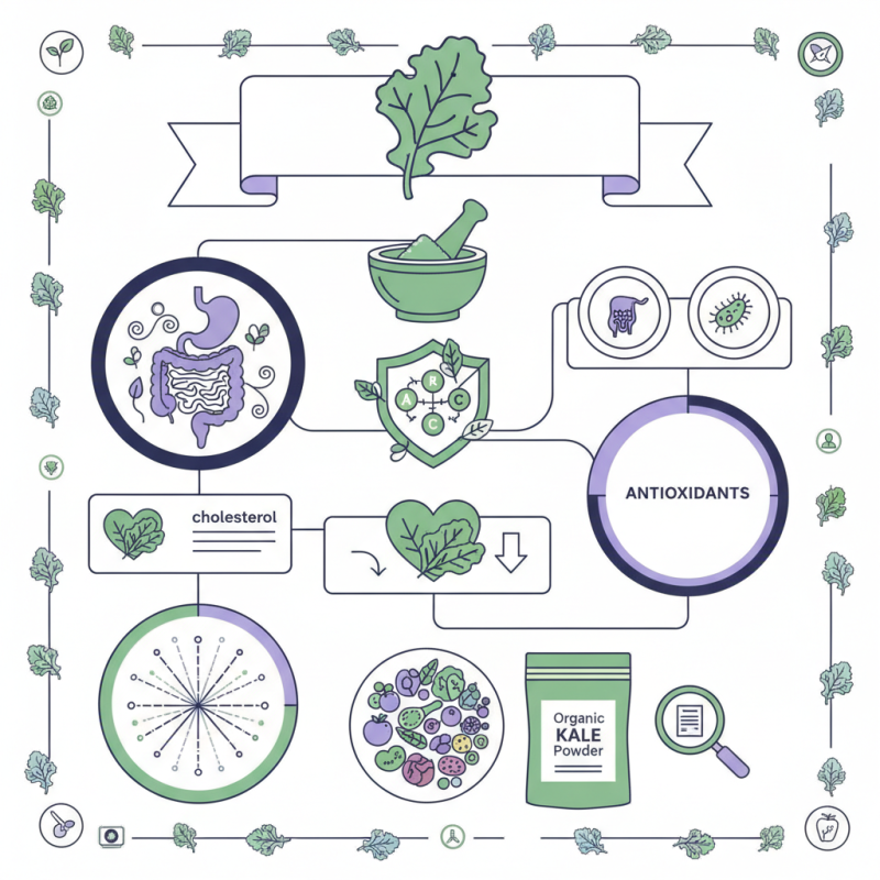 What Are the Benefits of Organic Kale Powder for Health?