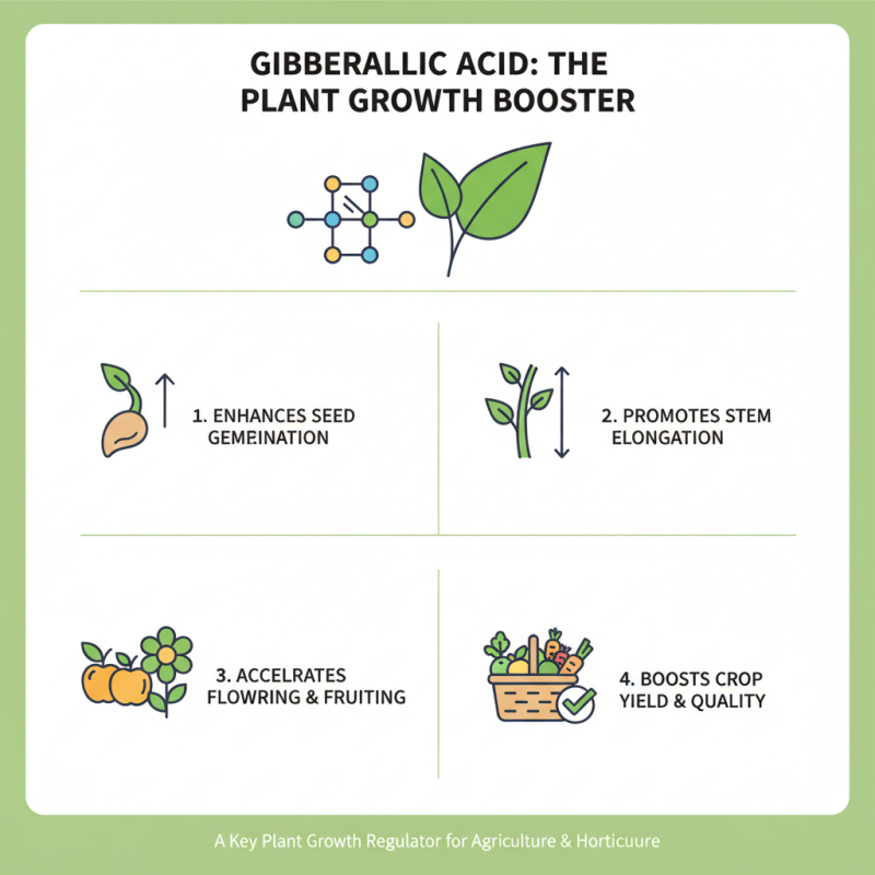 Why is Gibberellic Acid Important for Plant Growth and Development?