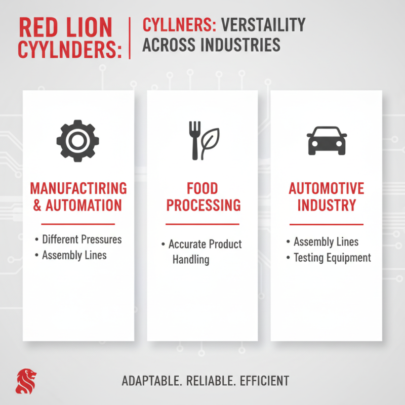 Top 10 Red Lion Cylinders Features and Benefits Explained?