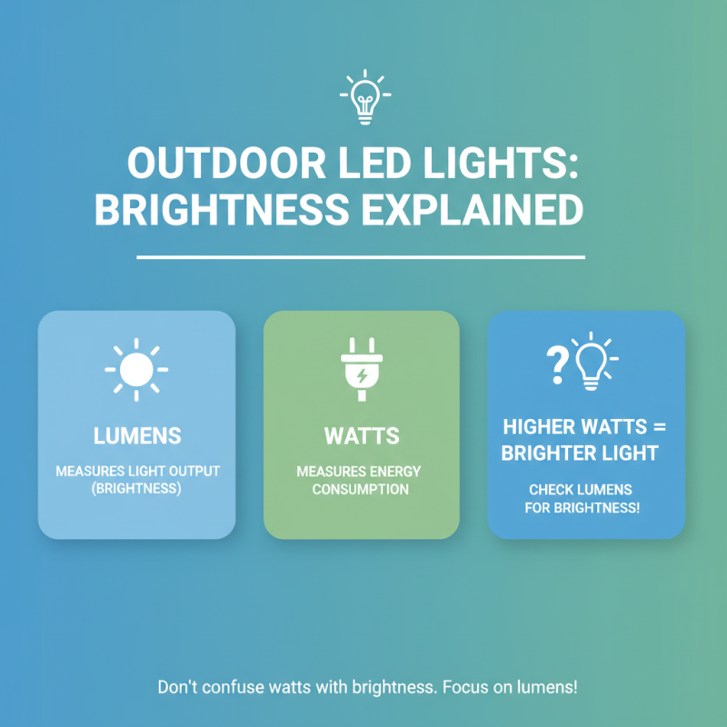 10 Smart Tips for Choosing Outdoor LED Lights Effectively?